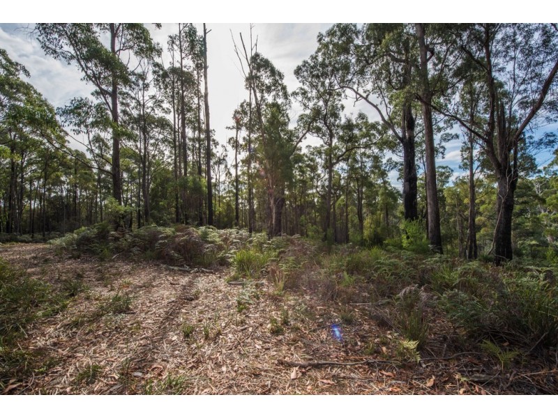 261 Colgraves Road, Pipers River TAS 7252