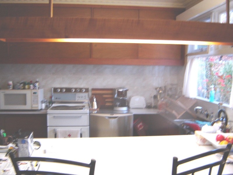 97 Punchbowl Road, Punchbowl TAS 7249