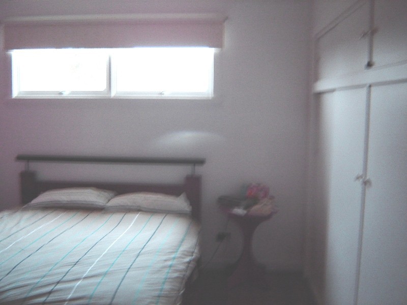 97 Punchbowl Road, Punchbowl TAS 7249