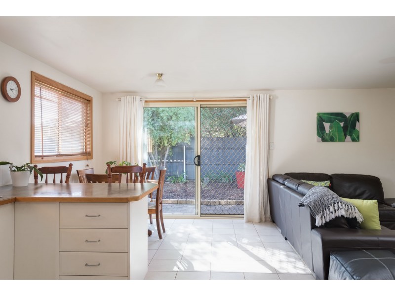 14 Henty Street, Invermay TAS 7248