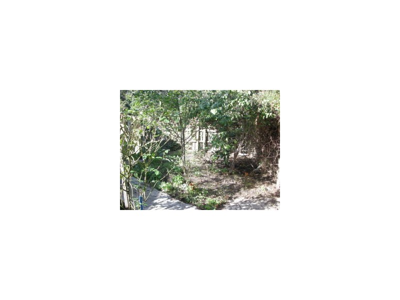 35 Cimitiere Street, Launceston TAS 7250