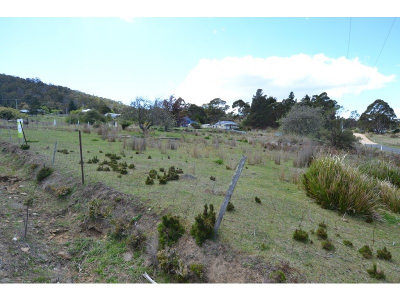 1 Lennox Street, Cornwall TAS 7215