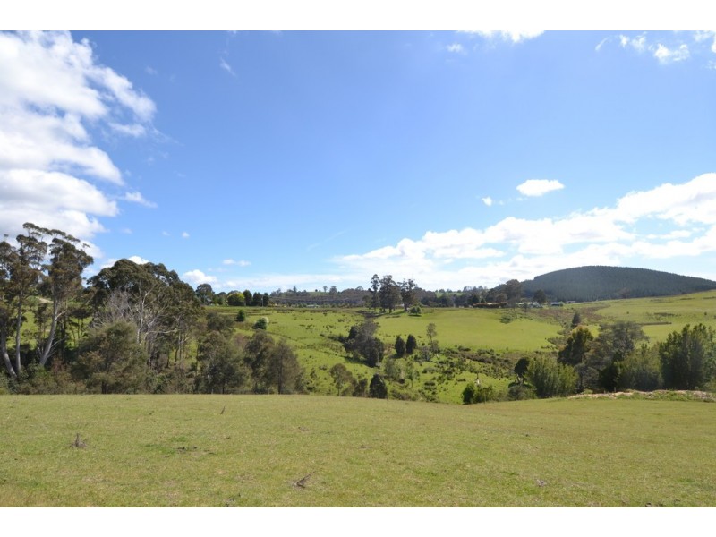 794 Golconda Road, Lebrina TAS 7254