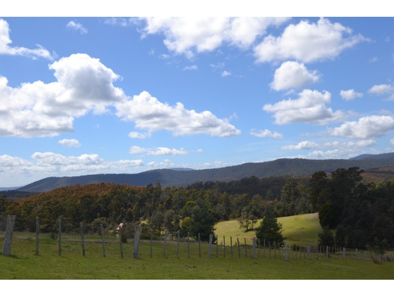 794 Golconda Road, Lebrina TAS 7254