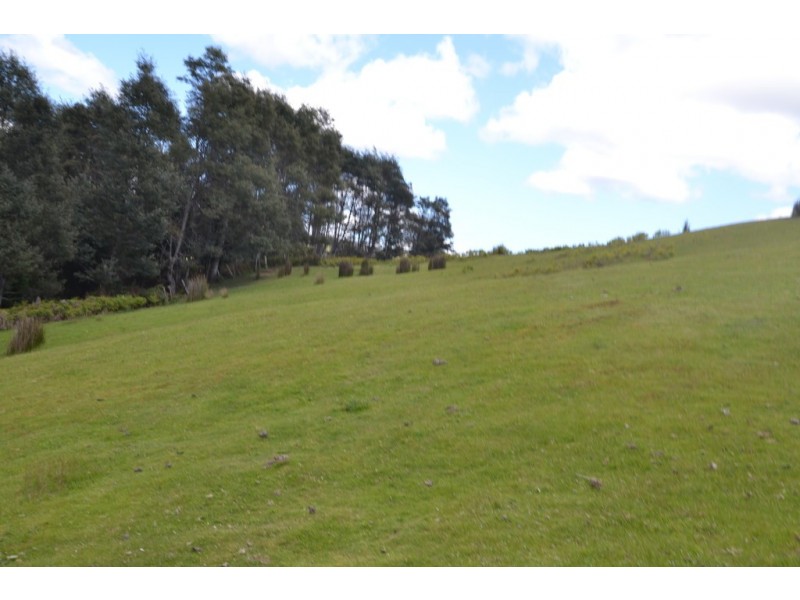 794 Golconda Road, Lebrina TAS 7254