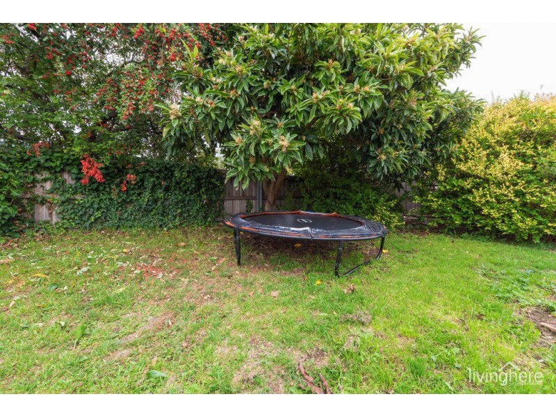 64 Hargrave Crescent, Mayfield TAS 7248