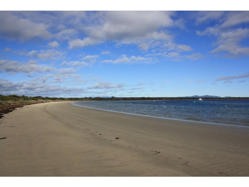 14 Main Road, Musselroe Bay TAS 7264