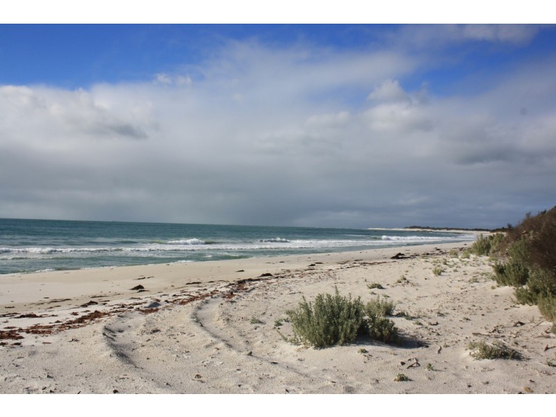 14 Main Road, Musselroe Bay TAS 7264