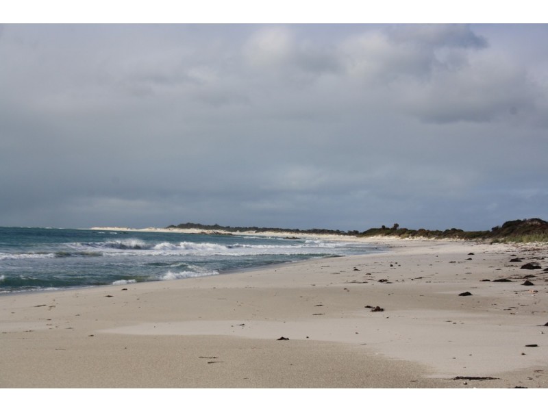 14 Main Road, Musselroe Bay TAS 7264