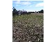11 Arthur Street, George Town TAS 7253