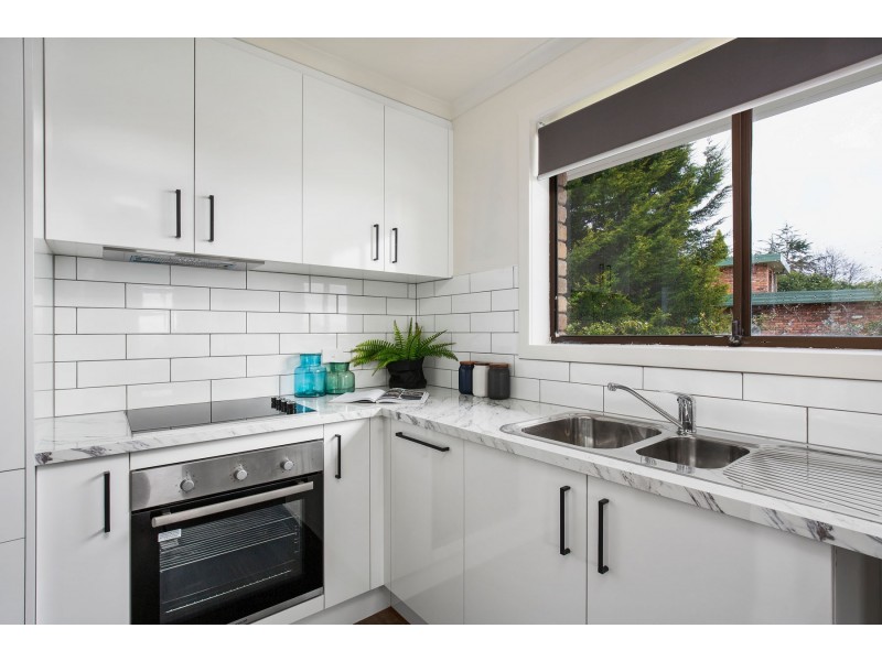 38 New World Avenue, Trevallyn TAS 7250