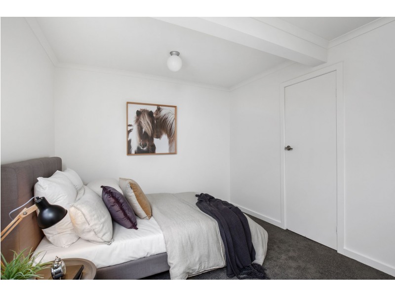 38 New World Avenue, Trevallyn TAS 7250