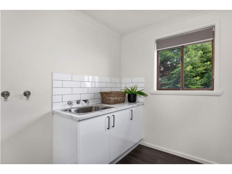 38 New World Avenue, Trevallyn TAS 7250
