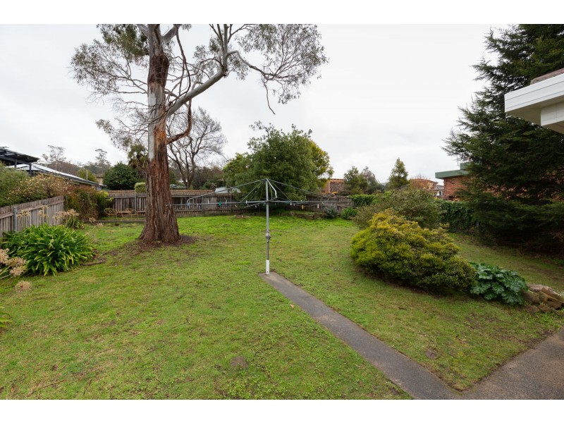 38 New World Avenue, Trevallyn TAS 7250