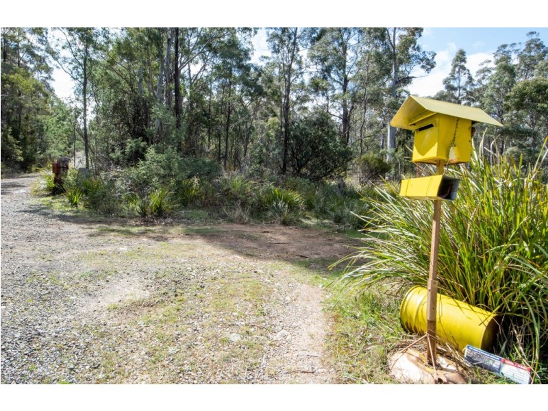 1077 Lilydale Road, Lilydale TAS 7268