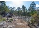 1077 Lilydale Road, Lilydale TAS 7268
