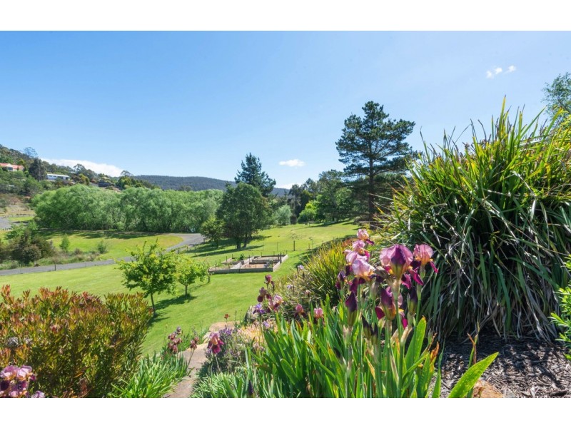 21 Longvista Road, Blackstone Heights TAS 7250