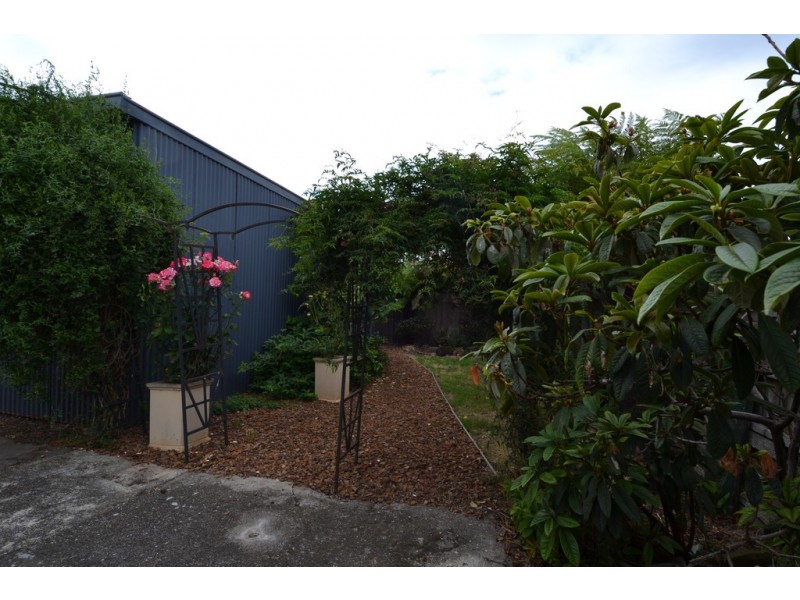 19 Darwin Street, Invermay TAS 7248