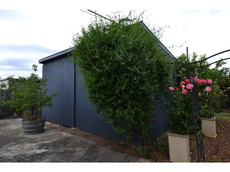 19 Darwin Street, Invermay TAS 7248