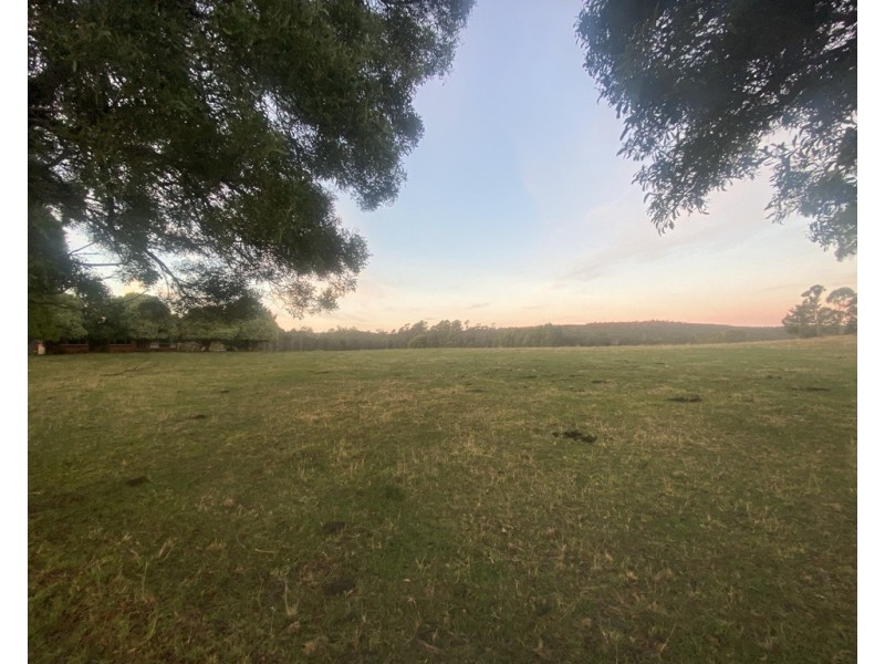 248 Adams Road, Lebrina TAS 7254