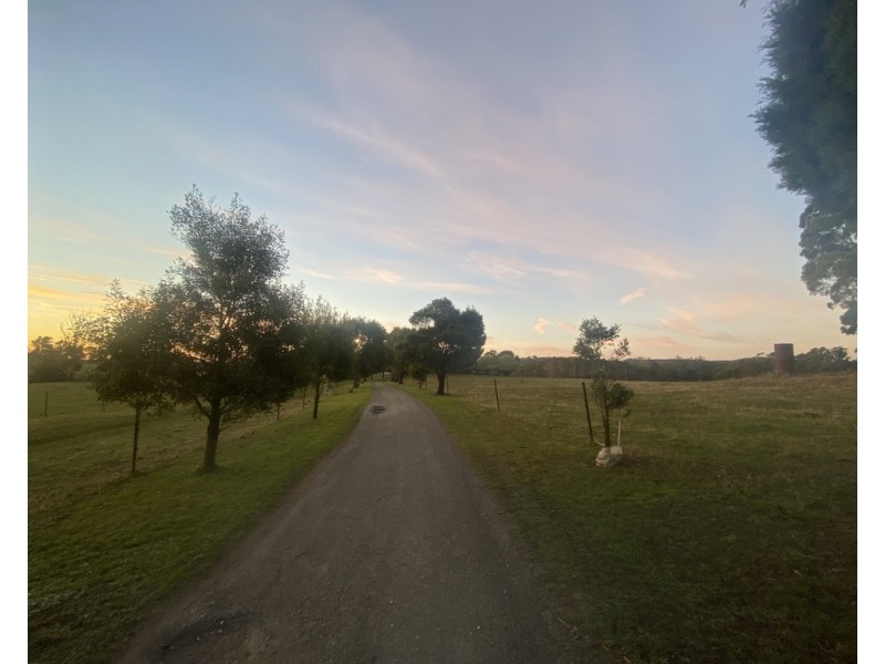 248 Adams Road, Lebrina TAS 7254