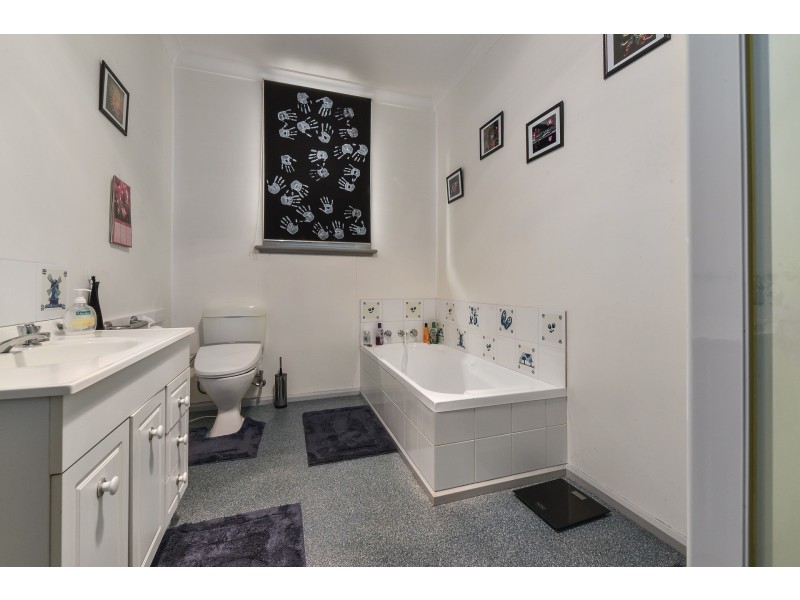 11 William Street, Scottsdale TAS 7260