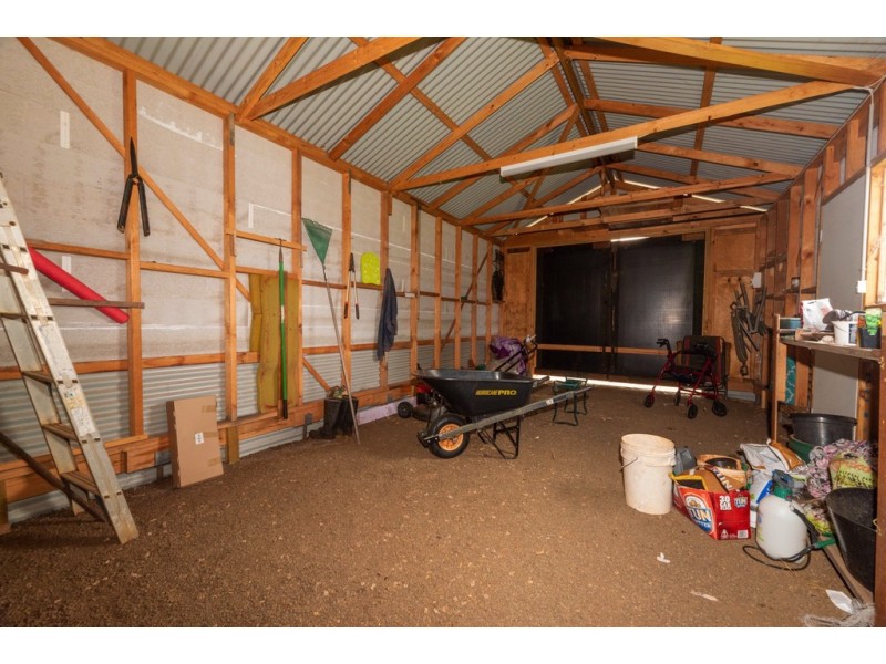 11 William Street, Scottsdale TAS 7260