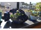 19 Ferguson Street, Kelso TAS 7270