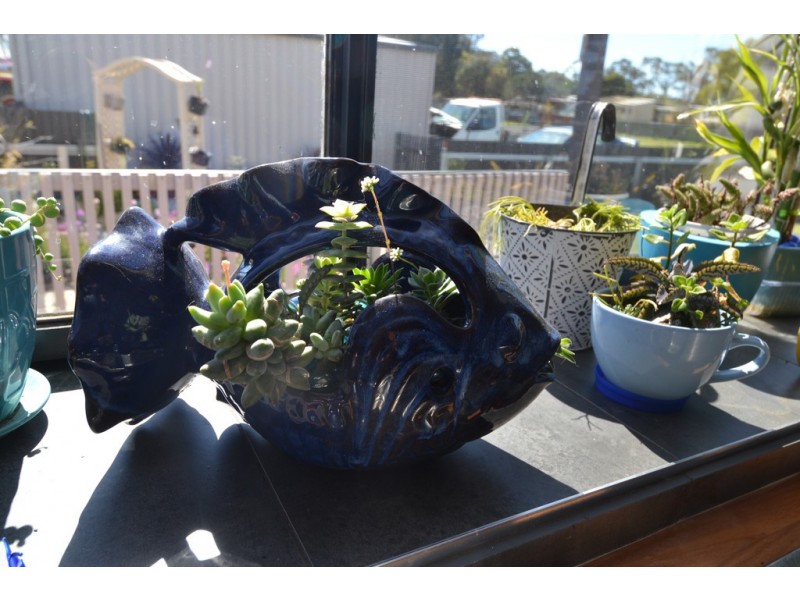 19 Ferguson Street, Kelso TAS 7270