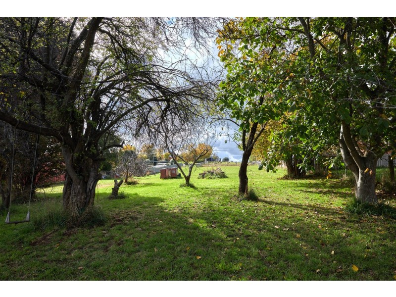 110 George Street, Scottsdale TAS 7260