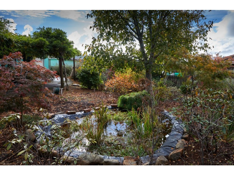 79 King Street, Scottsdale TAS 7260