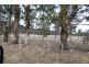 724 Tyne Road, Mathinna TAS 7214