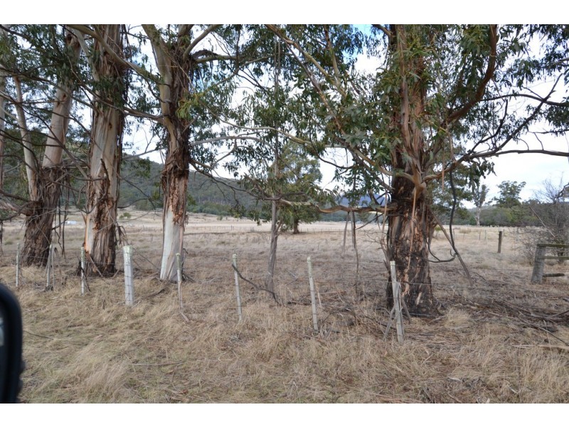 724 Tyne Road, Mathinna TAS 7214