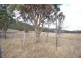 724 Tyne Road, Mathinna TAS 7214