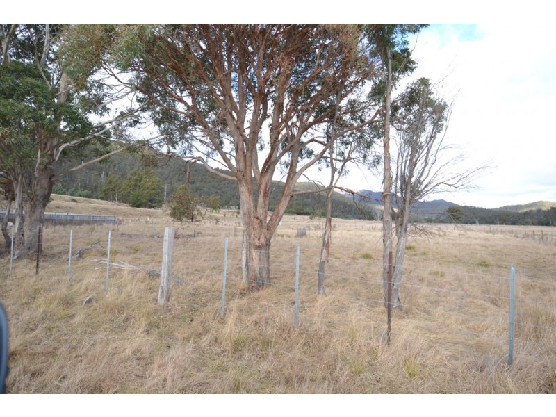 724 Tyne Road, Mathinna TAS 7214