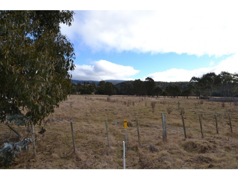 724 Tyne Road, Mathinna TAS 7214
