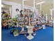 33 King Street, Scottsdale TAS 7260
