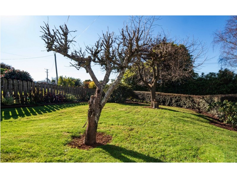 28 Ringarooma Road, Scottsdale TAS 7260