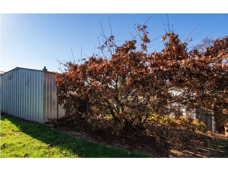 28 Ringarooma Road, Scottsdale TAS 7260