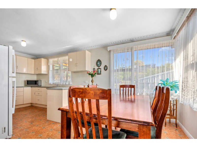 11 Alice Street, Scottsdale TAS 7260