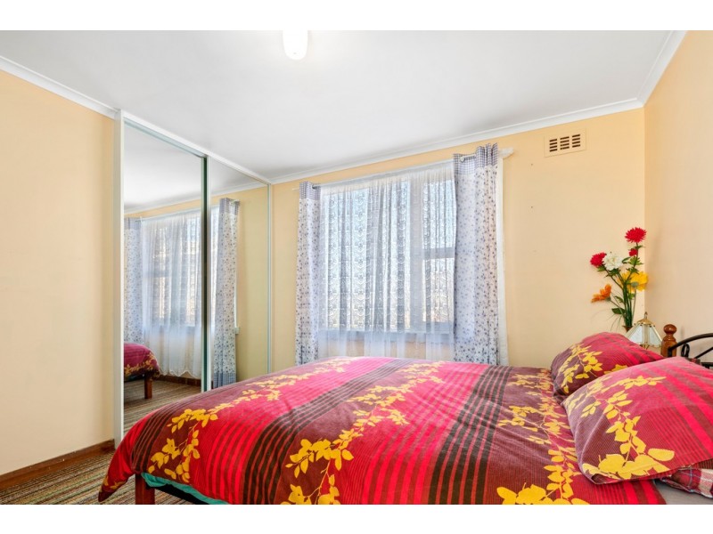 11 Alice Street, Scottsdale TAS 7260