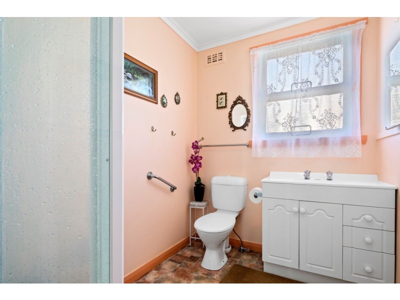 11 Alice Street, Scottsdale TAS 7260