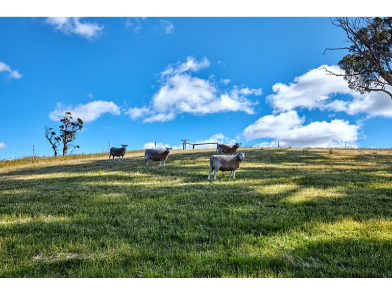 108 Station Road, Lilydale TAS 7268