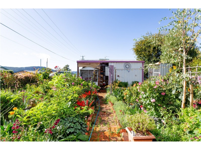 4 Hedley Street, Scottsdale TAS 7260