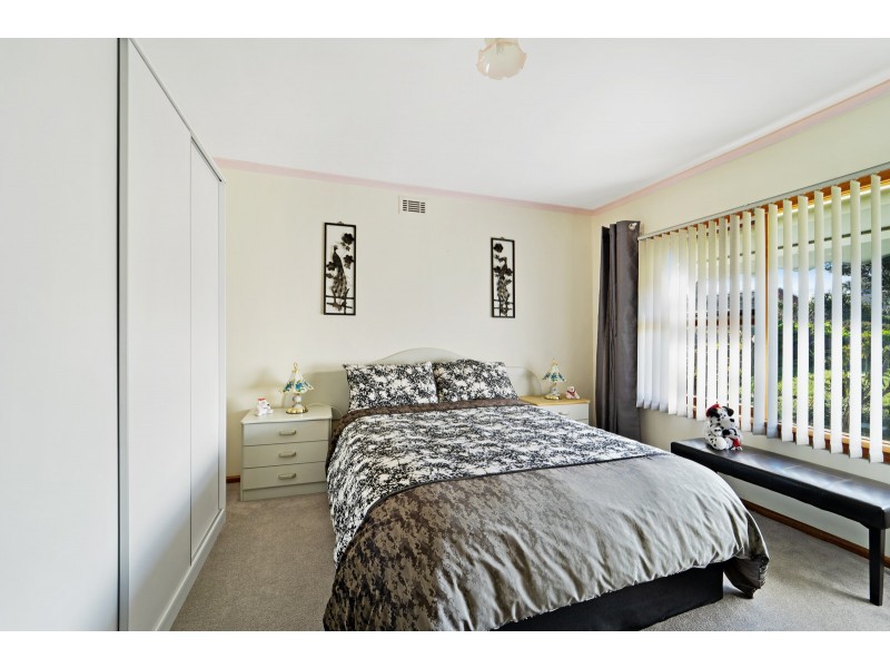 22 Ada Street, Scottsdale TAS 7260