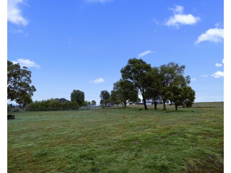51 White Gum Rise, St Leonards TAS 7250