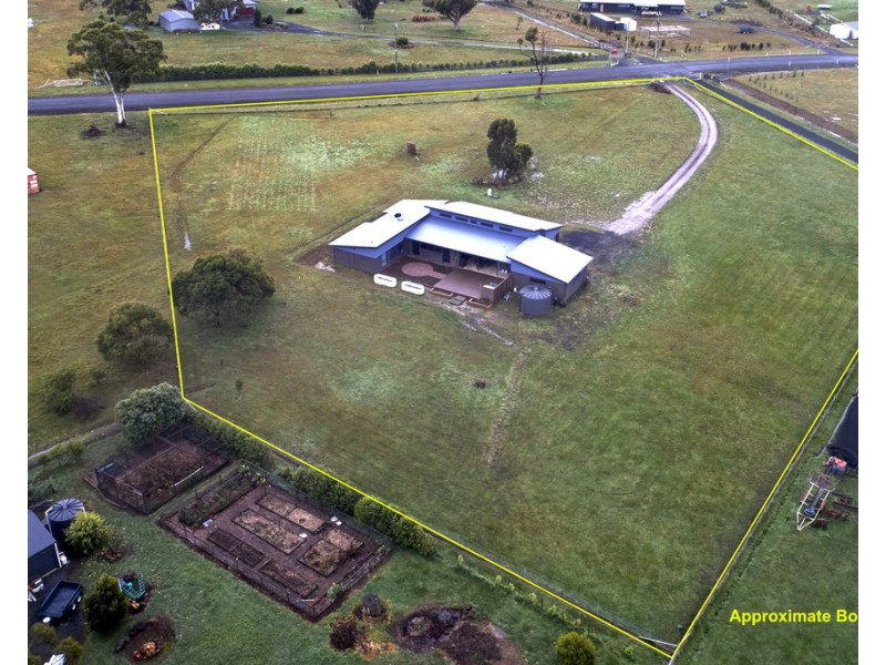 51 White Gum Rise, St Leonards TAS 7250