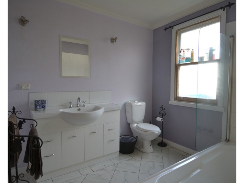 17 Albion Street, Invermay TAS 7248