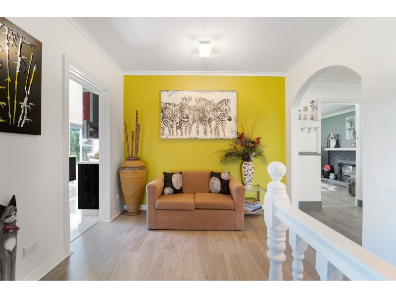 528 Ten Mile Track, Springfield TAS 7260