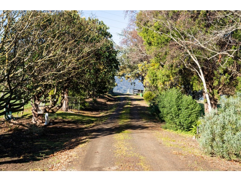 528 Ten Mile Track, Springfield TAS 7260